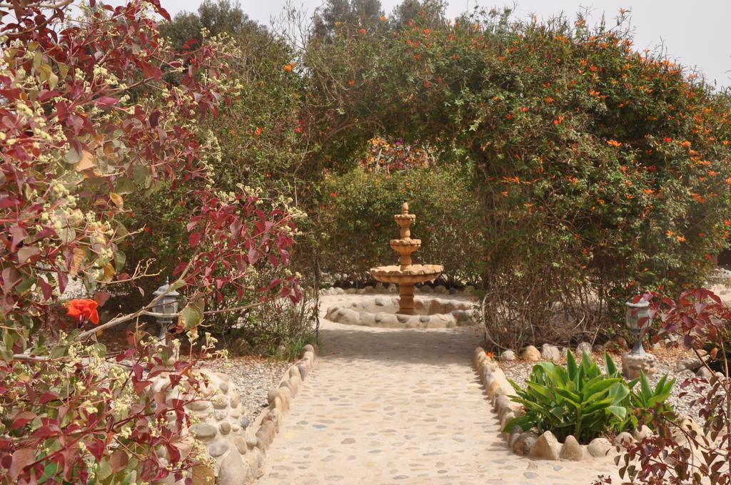 La Palmeraie De Massa Zaouit Massa Exterior photo